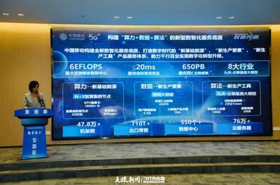 深化合作，共筑數(shù)智未來(lái) 貴安新區(qū)“2024年數(shù)據(jù)中心服務(wù)”推介交流會(huì)圓滿(mǎn)舉行